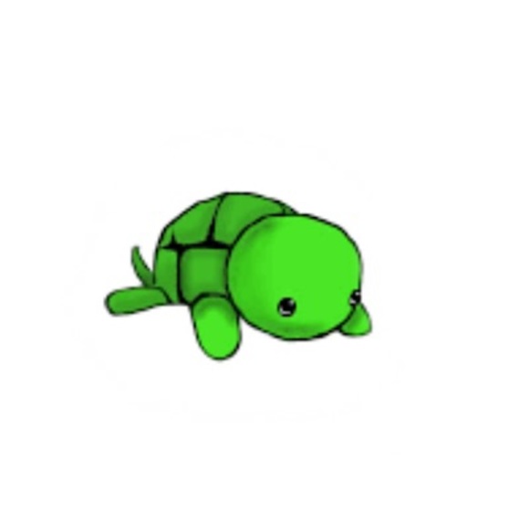 turntupturtle